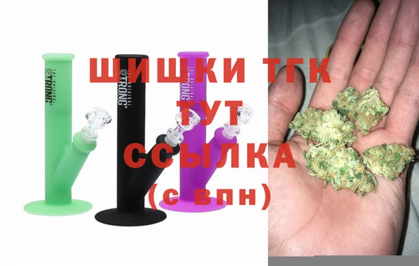 МДПВ Дмитриев