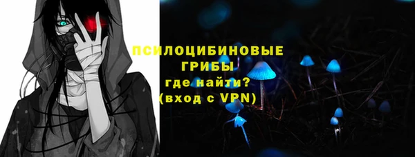 МДПВ Дмитриев