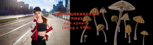 каннабис Дмитров