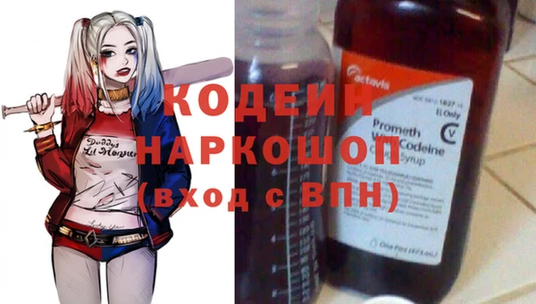 МДПВ Дмитриев