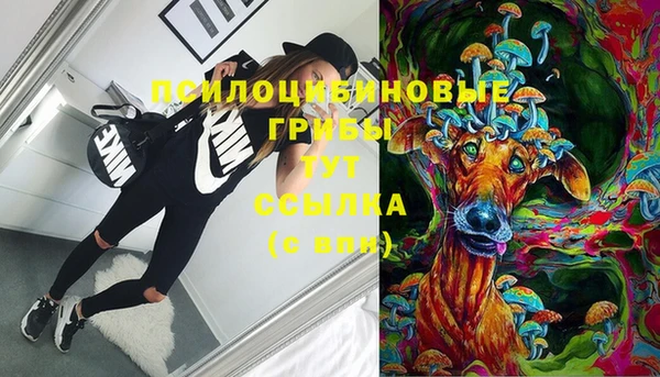 МДПВ Дмитриев