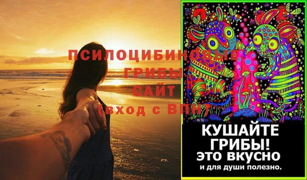МДПВ Дмитриев