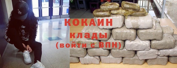 МДПВ Дмитриев